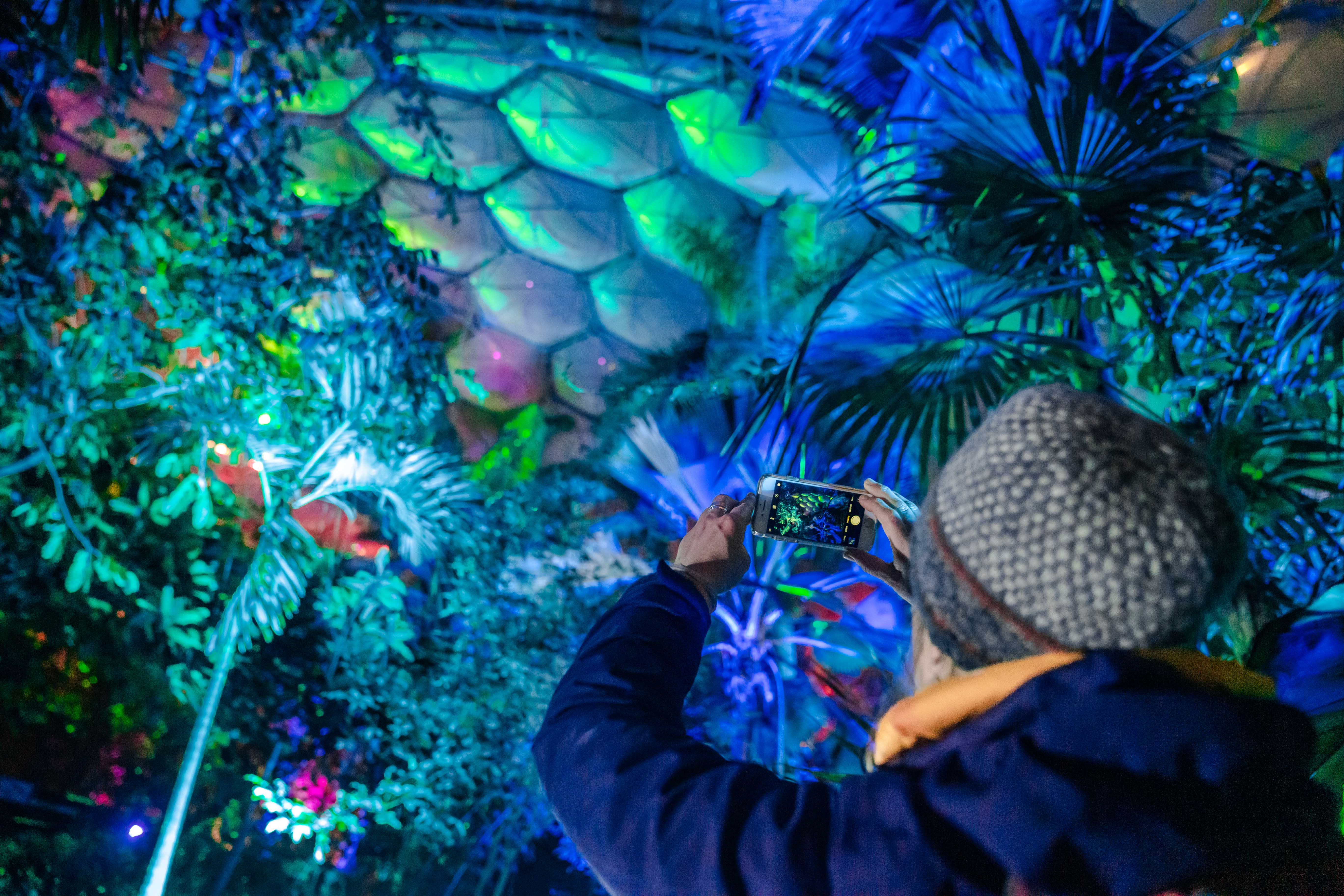 Eden Project Christmas 2024 Dates Crin Mersey